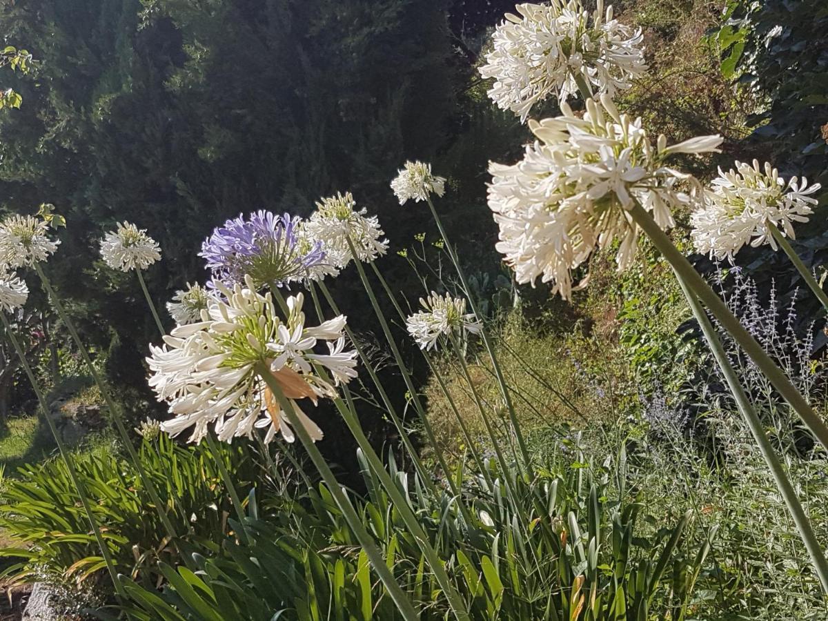 La Villa Guidi Pila-Canale Bagian luar foto