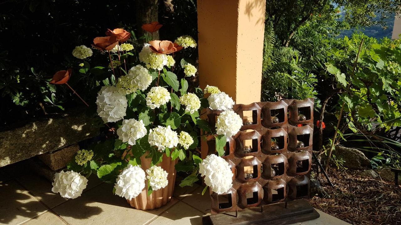 La Villa Guidi Pila-Canale Bagian luar foto
