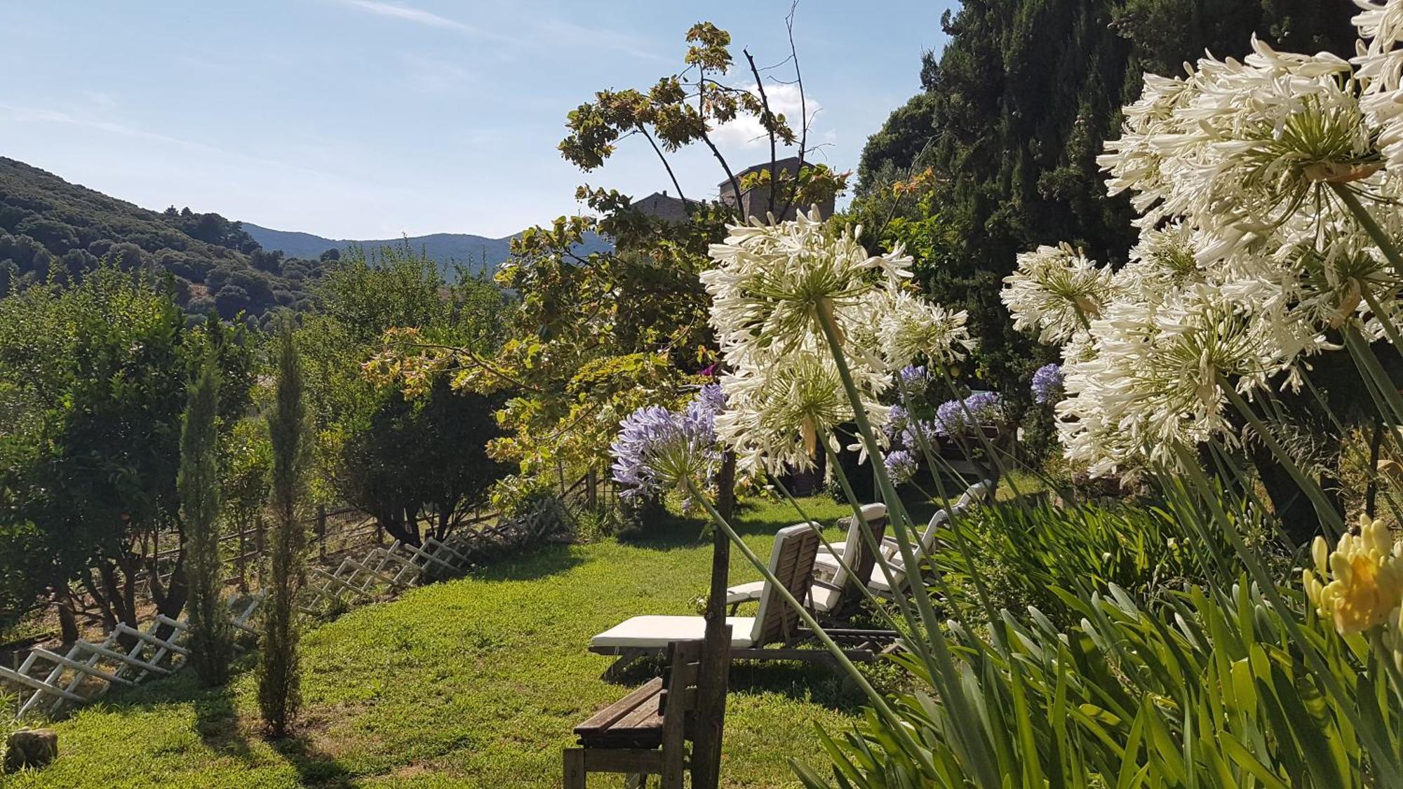 La Villa Guidi Pila-Canale Bagian luar foto